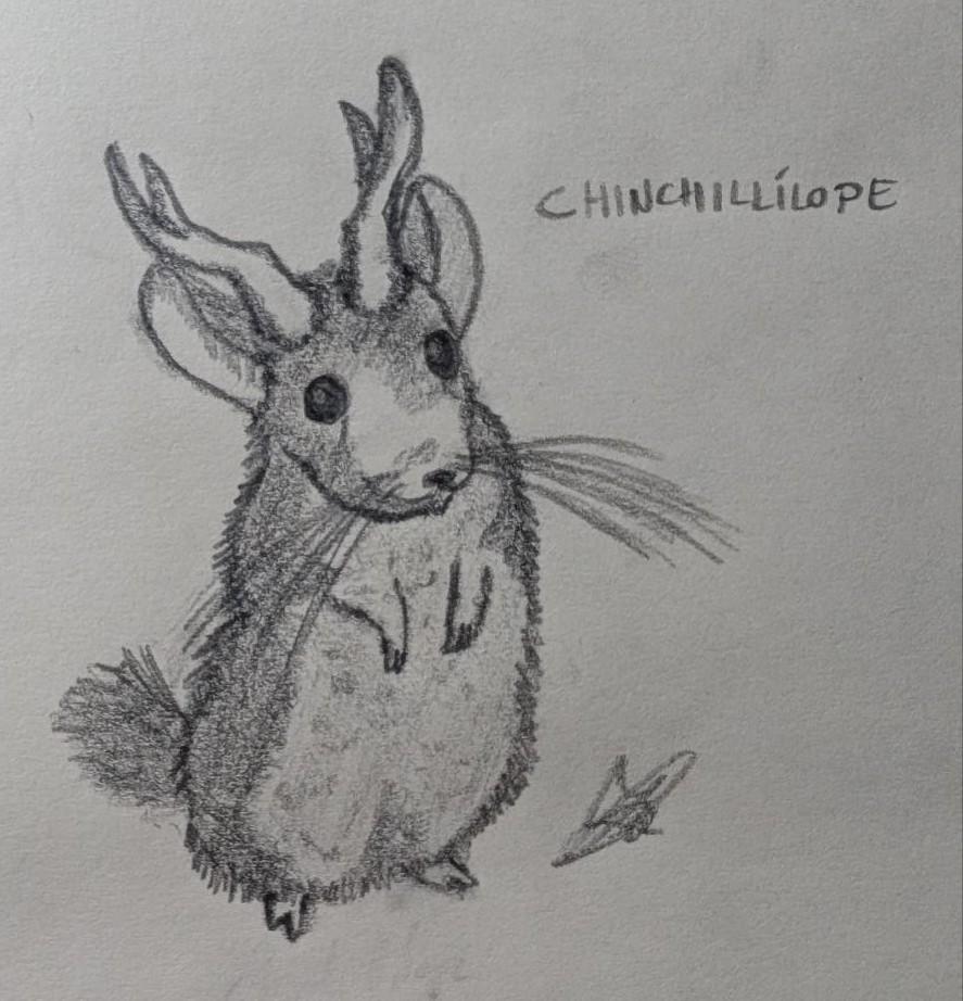 chinchillilope.jpg